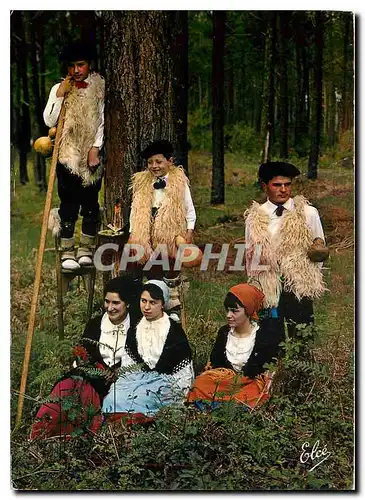 Cartes postales moderne La Lande Groupe Landais Lous Cadetouns Pour quelques jeunes du Groupe un peu de repos a l'abri d