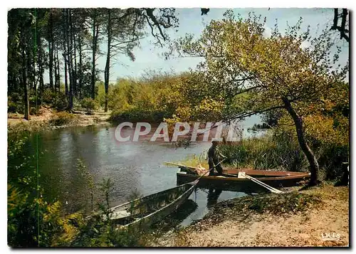 Cartes postales moderne Courant d'Uchet Landes