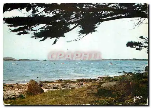 Cartes postales moderne La Bretagne L'Ile Grande C du N Le port de plaisance a gauche L'Ile Milliau a droite L'Ile Molen