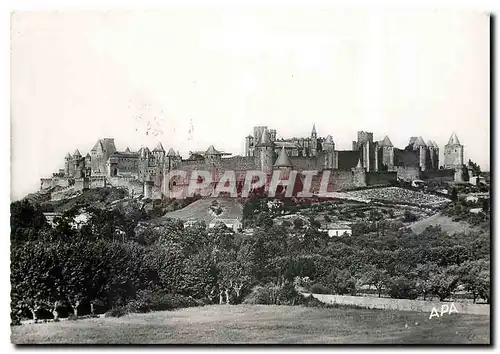 Cartes postales moderne Carcassonne Aude la Cite vue de l'Aude