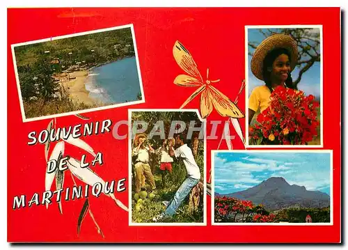 Cartes postales moderne Village de pecheurs l'eau decoco La Montagne Pelee Enfants au flamboyants Martinique