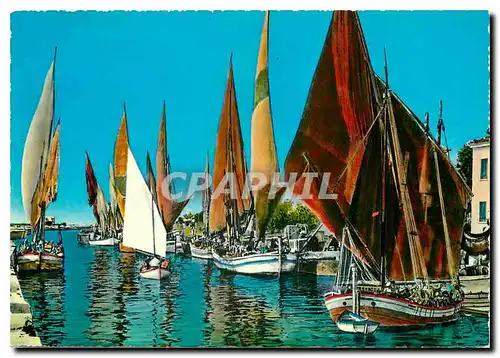 Cartes postales moderne Bateaux de peche