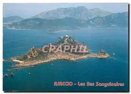 Cartes postales moderne Ajaccio Les Iles Sanguinaires