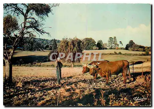 Cartes postales moderne La Haute vienne Pittorresque Attelage Limousin