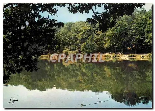 Cartes postales moderne Meudon (Hauts Vienne) L'Etang Vilebon