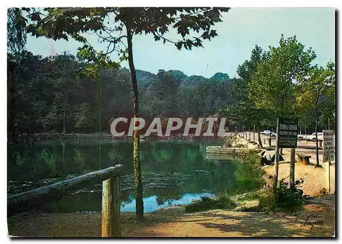 Cartes postales moderne Asnieres (Hauts de Seine) l'Etang de Trivaux