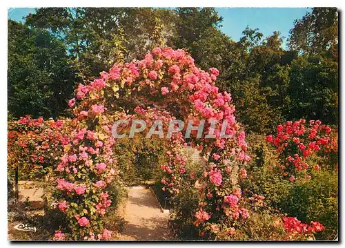 Cartes postales moderne L'Hay les Roses (Val de Marne) La Roseraie