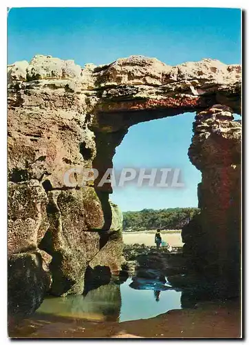 Cartes postales moderne Saint Palais sur Mer Les Pierrieres lePont du Diable