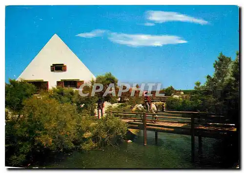 Cartes postales moderne Camargue Lumieres et tradition Maison de Gardians