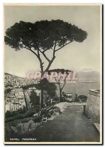 Cartes postales moderne Napoli Panorama