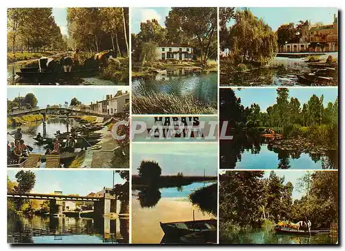 Cartes postales moderne Le Marais Poitevin La Venise Verte Cathedrale de Verdure Transport d'animaux