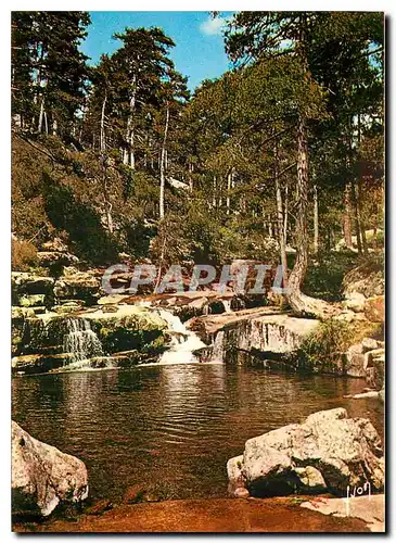 Cartes postales moderne Couleurs et Lumilere de France La Corse Oasis de Beaute Evisa (Corse)