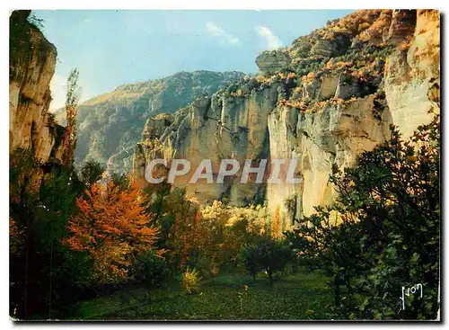 Cartes postales moderne Couleurs et Lumiere de France Gorges du Tarn (Lozere) Cirque des Baumes