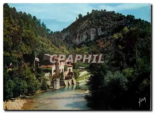 Cartes postales moderne Couleurs et Lumliere de France La Cote d'Azur Miracle de la Nature La Colle sur le Loup environs