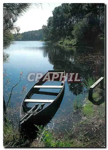 Cartes postales moderne Etang des Landes L'etang de Moliets