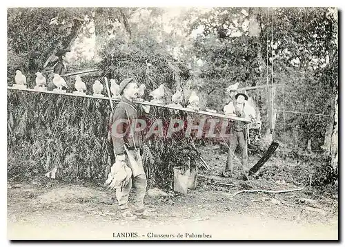 Cartes postales moderne Landes Chasseurs de Palombes