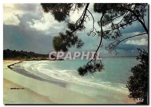 Cartes postales moderne Cote Atlantique L'Ocean resplendit sous sa vaste nuee