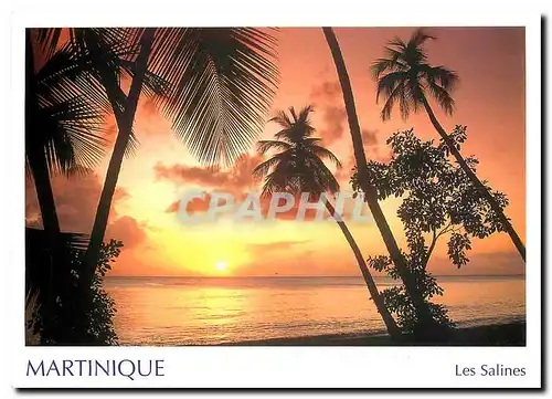 Cartes postales moderne Martinique Plage des Salines