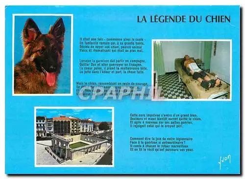 Cartes postales moderne Dax Landes Ville Thermale