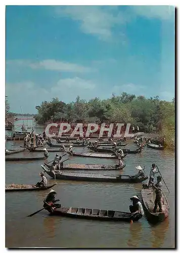 Cartes postales moderne Hong Ngu canal Dong Thap