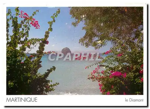 Cartes postales moderne Martinique Le Diamant