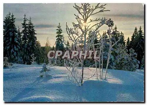 Cartes postales moderne Hiver dans les Alpes