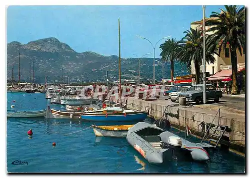 Cartes postales moderne Corse Ile de Beaute Paradis d'ete Calvi Port de plaisance et le quai Landry Retour de peche