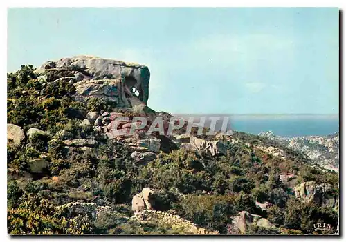 Cartes postales moderne De Sartene a Bonifacio L'Elephant de Roccapina