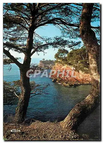 Cartes postales moderne Corse Ile de Beaute Paradis d'ete Region de Piana