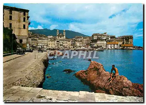 Cartes postales moderne Corse Ile de Beaute Paradis d'ete Bastia vue sur le vieux port