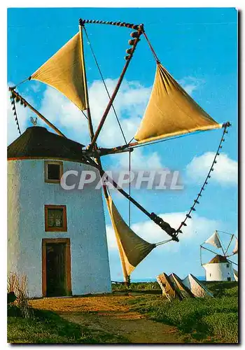 Cartes postales moderne Portugal Moinhos