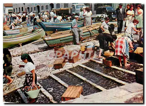 Cartes postales moderne Lisboa Portugal Faina na lota Ribeira