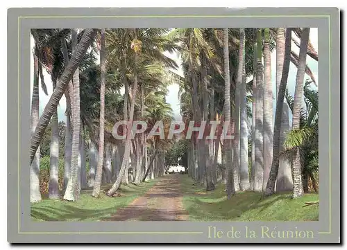 Cartes postales moderne Ile de la Reunion