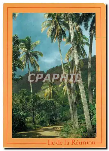 Cartes postales moderne Ile de la Reunion