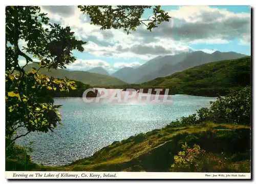 Cartes postales moderne Evening on the Lakes of Killarney Co Kerry Ireland