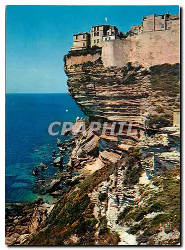 Cartes postales Bonifacio La Corse oasis de Beaute