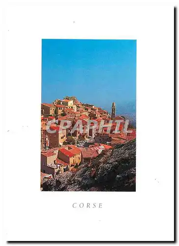 Cartes postales Corse Speloncato