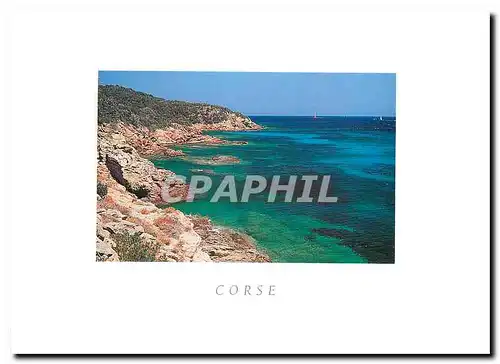 Cartes postales Corse La Cote rocheuse a la Pointe Cerbicale