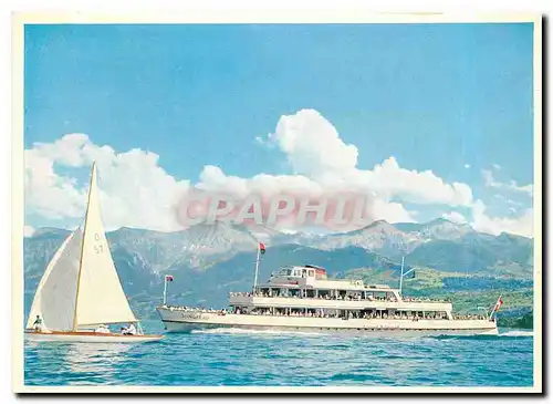 Cartes postales moderne MS Jungfrau auf dem Thunersee Berner Oberland Schweiz