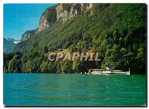 Cartes postales moderne Das Rutli am Vierwaldstattersee