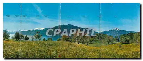 Cartes postales moderne Panorama Hertenstein Weggis Lutzelau