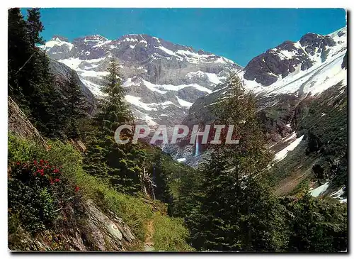 Cartes postales moderne Maderanerthal Uri Weg zur Hufihutte