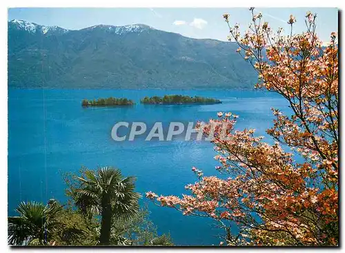 Cartes postales moderne Isole di Brissago Lago Maggiore