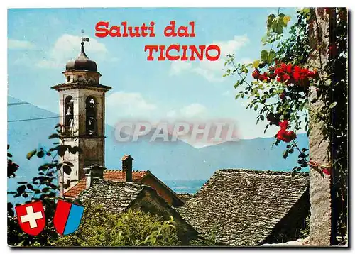 Cartes postales moderne Saluti dal Ticino