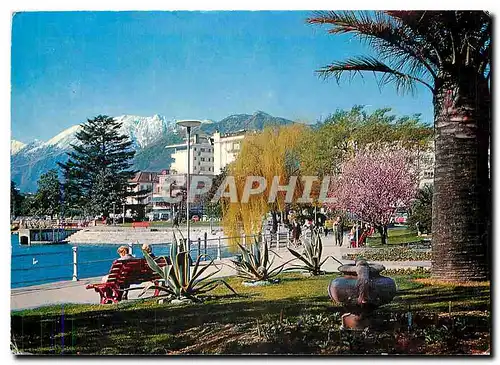 Cartes postales moderne Locarno Muralto Lungolago