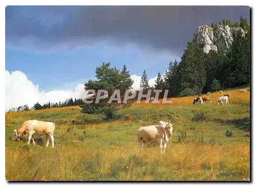 Cartes postales moderne Paysage idyllique du Jura