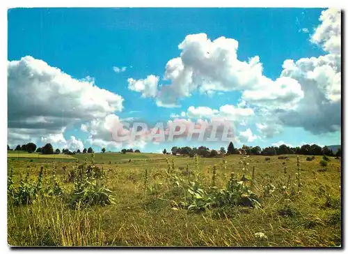 Cartes postales moderne Paturage du Haut Jura Conservons la vegetation naturelle