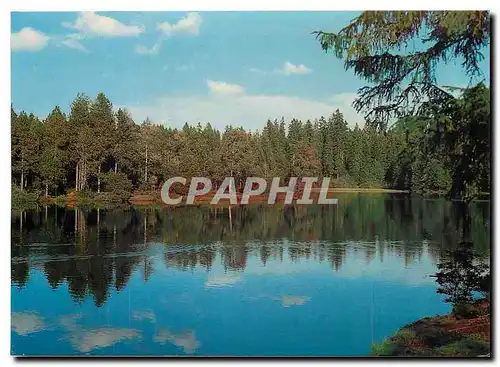 Cartes postales moderne Etang de Gruere