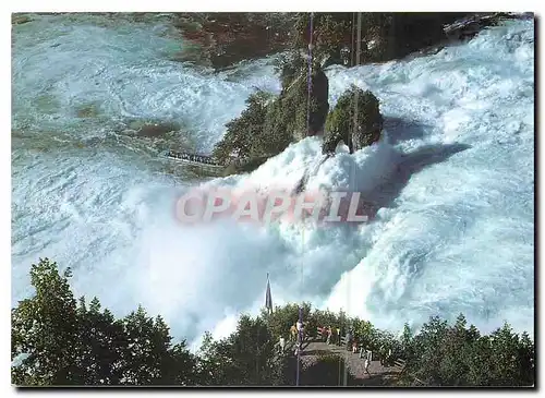 Cartes postales Rheinfall Schweiz Orientierung uber den Rheinfall