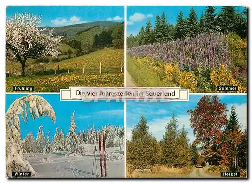 Cartes postales moderne Die vier Jahreszeiten im Sauerland